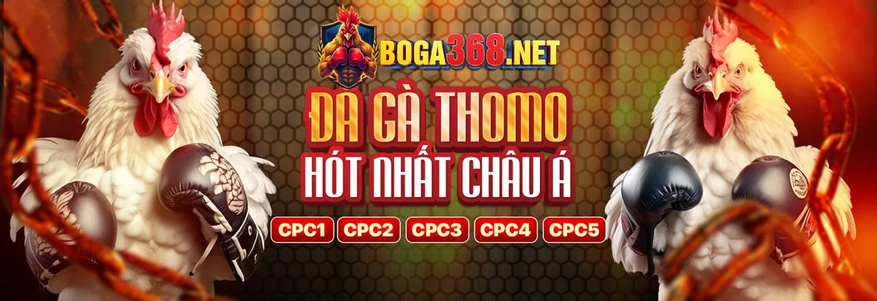 Hướng dẫn và mẹo cá cược